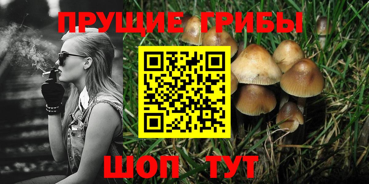 Галлюциногенные грибы мицелий Краснотурьинск