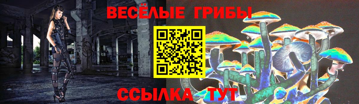Псилоцибиновые грибы ЛСД  Псилоцибиновые грибы прущие грибы  Вход с VPN  Краснотурьинск 